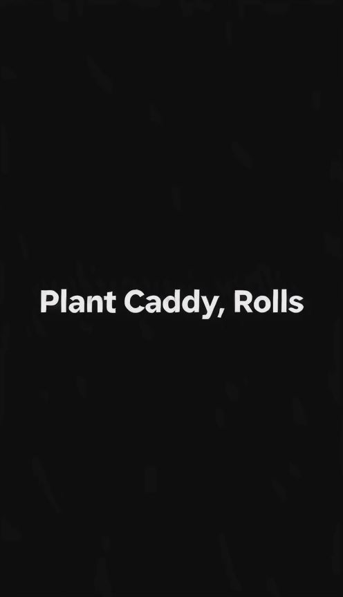 Rolling Plant Caddy, PP & Steel, 8.7 to 15.7 in, Drain Tray